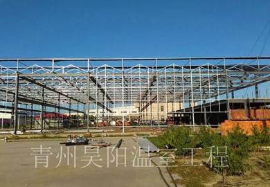 溫室大棚建設的技術要點